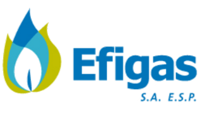 logo efigas